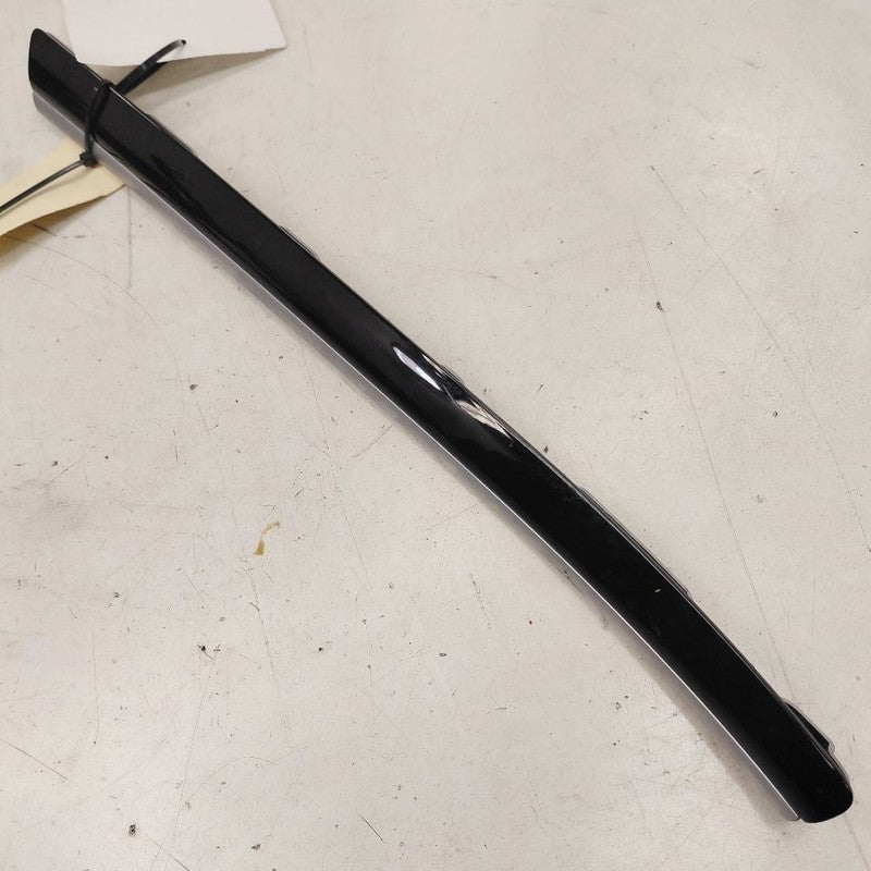 Chrysler 300 Passenger Right Front Door Trim Garnish {AI59307XST003} 2