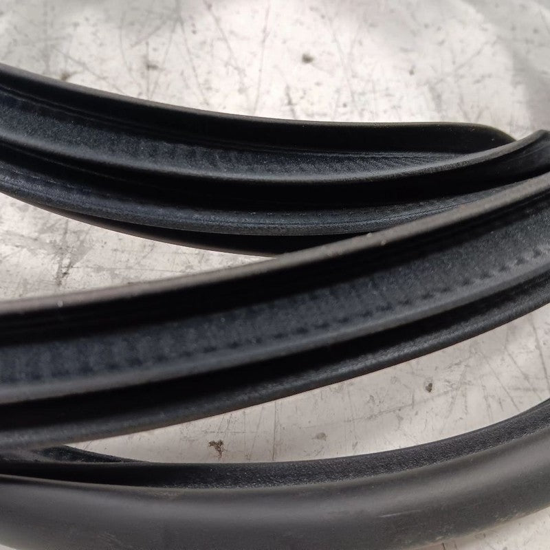 Nissan Kicks On Body Door Jamb Seal Front Right Passenger  2021 2022 2023 2024