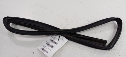 Dodge Journey Door Glass Window Seal Rubber Right Passenger Front 2014