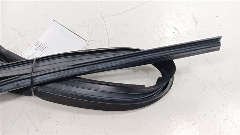 Buick Lacrosse Door Glass Window Seal Rubber Right Passenger Front 201
