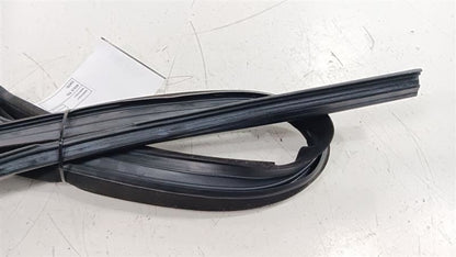 Buick Lacrosse Door Glass Window Seal Rubber Right Passenger Front 201