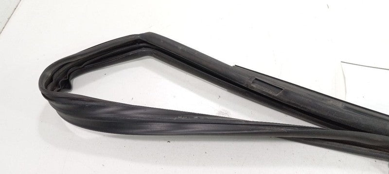Cadillac CTS Door Glass Window Seal Rubber Right Front Passenger 2011 