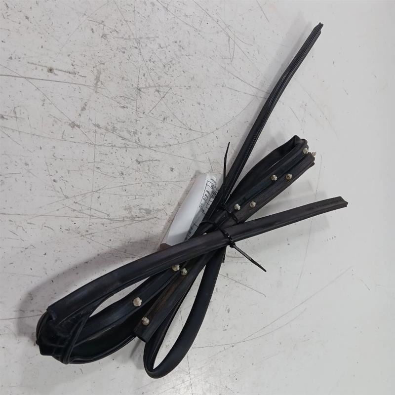 Mini Cooper On Door Seal Rubber Left Driver Front  2016 2017 2018 2019