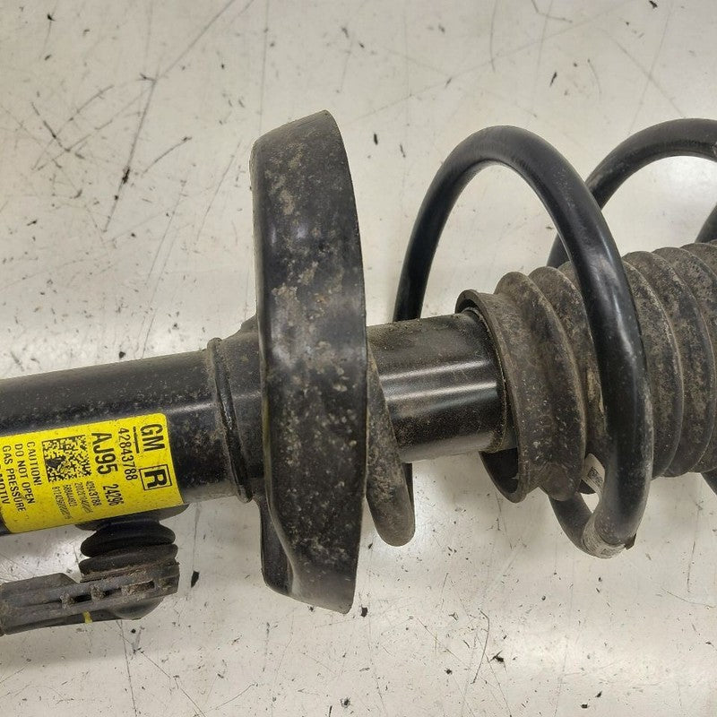 Passenger Right Front Strut Fits 24-25 Chevy Trax