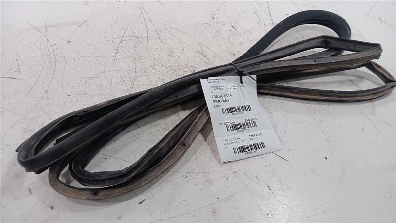 Toyota Scion IQ On Door Seal Rubber Left Driver Front  2011 2012 2013 