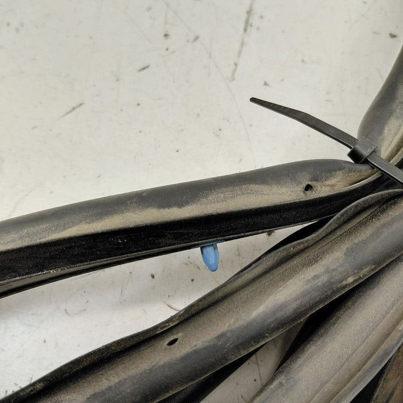 Cadillac XTS On Door Seal Rubber Right Passenger Rear Back      2016 2