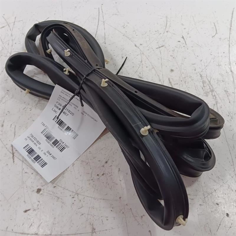 Ford Ecosport On Door Seal Rubber Left Rear Back  2018 2019 2020 2021 