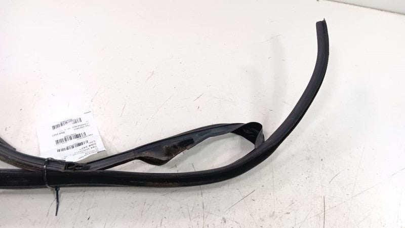 Volkswagen Golf Door Glass Window Seal Rubber Left Driver Front 2010 2