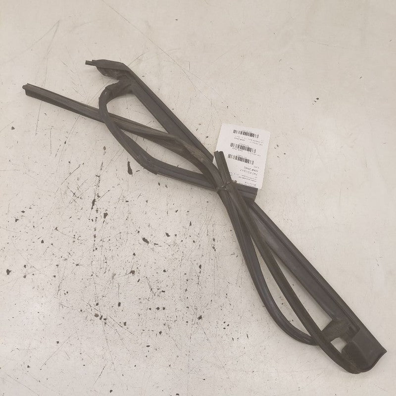 Ford Edge Door Glass Window Seal Rubber Left Driver Rear Back  2018 20