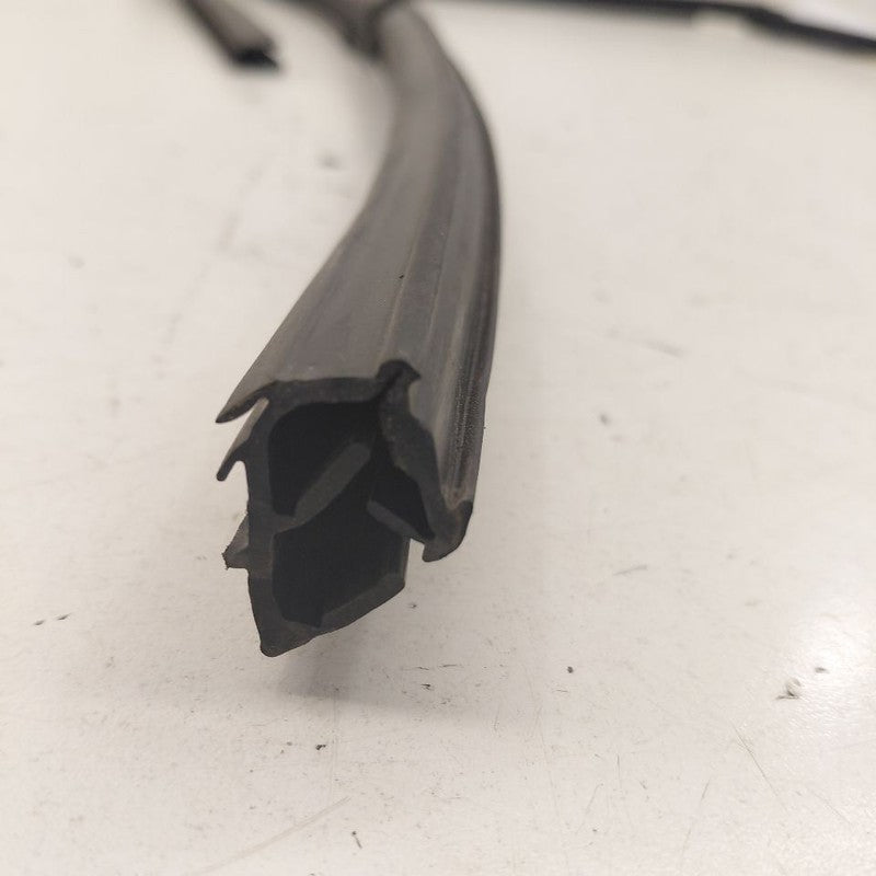 Ford Escape Door Glass Window Seal Rubber Left Driver Rear Back  2020 