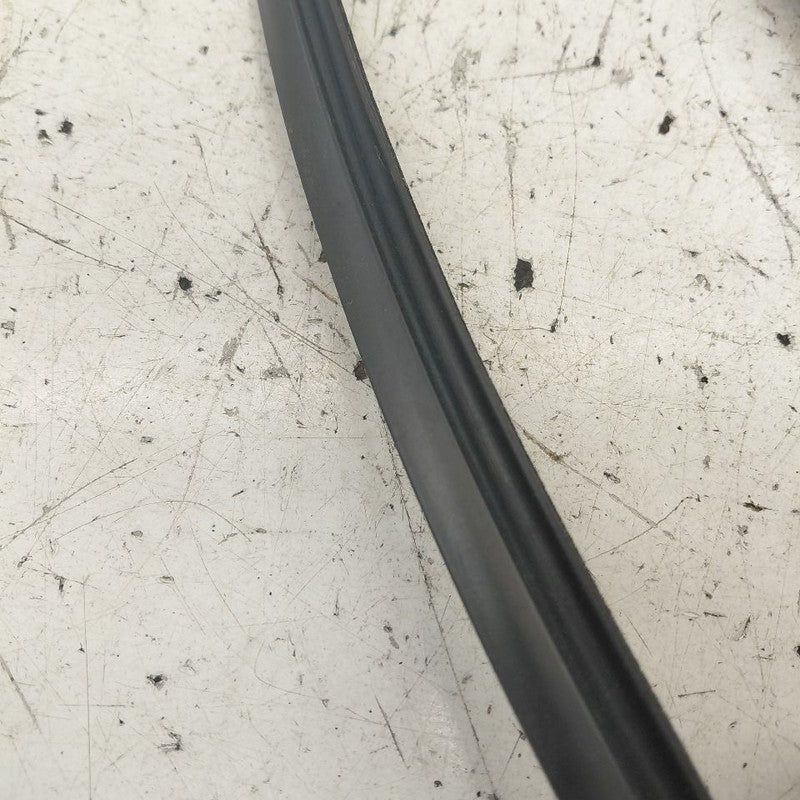 Ford Edge Door Glass Window Seal Rubber Left Driver Rear Back  2019 20