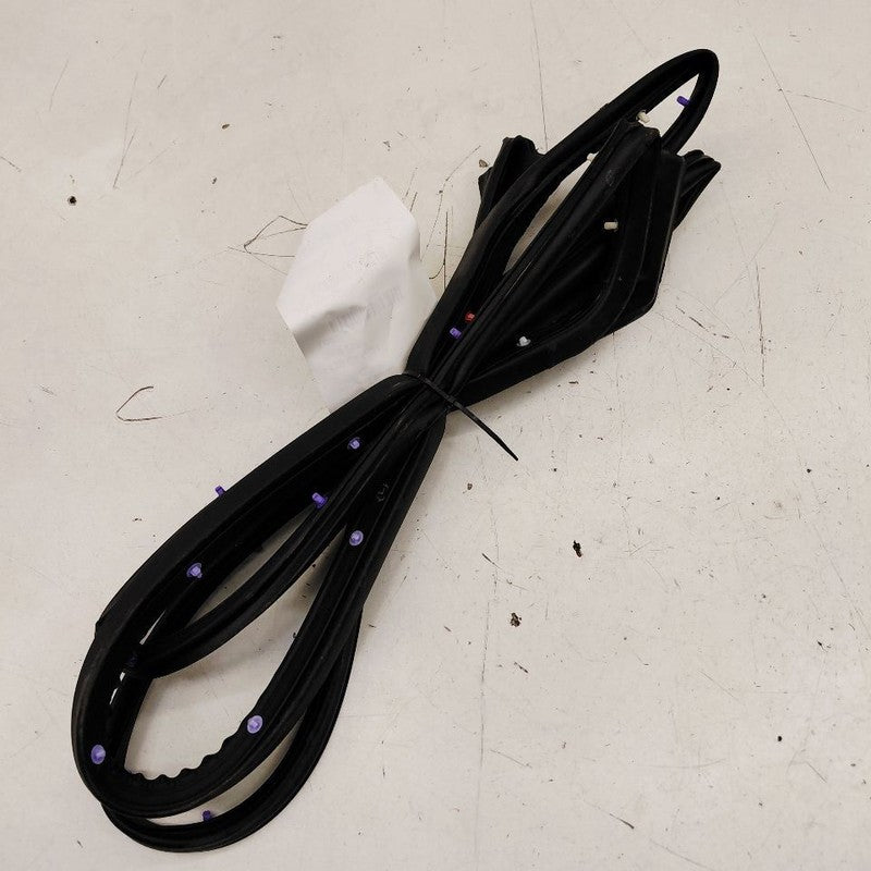 Nissan Versa On Door Seal Rubber Left Driver Rear Back  2024 2023 2022