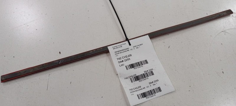 Dodge Caliber Door Molding Trim Strip Right Passenger Side Rear Back 2007 2008 2