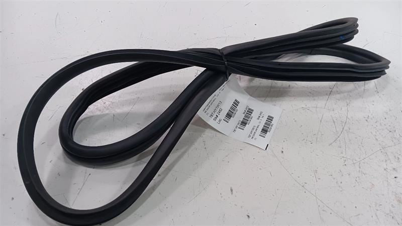 Hyundai Veloster On Body Door Jamb Seal Rear Right Passenger Back  2012 2013 201