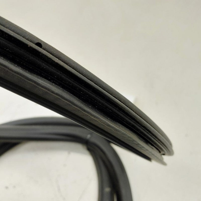 Cadillac XTS On Body Door Jamb Seal Rear Right Passenger Back      201
