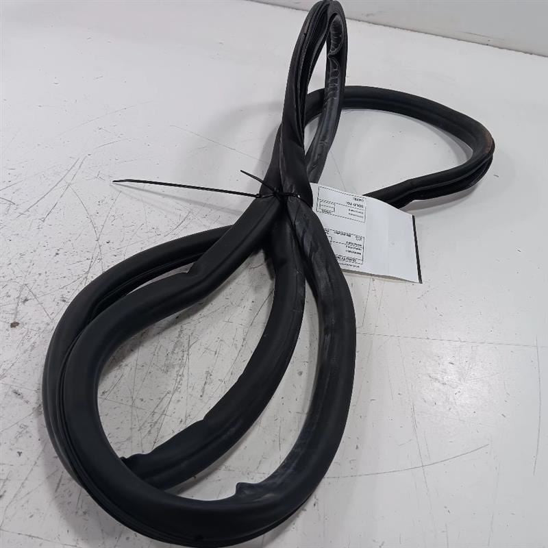 Buick Encore On Body Door Jamb Seal Rear Left Back  2018 2019 2020