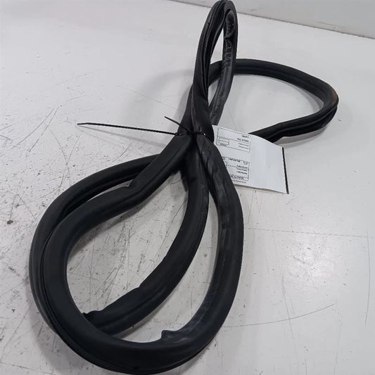 Buick Encore On Body Door Jamb Seal Rear Left Back  2018 2019 2020