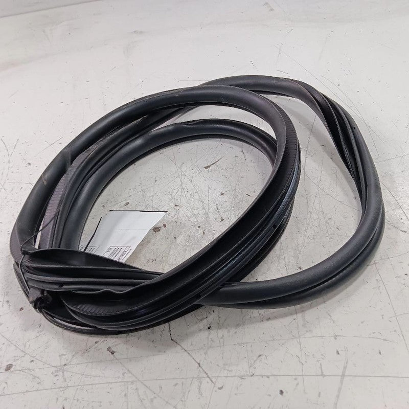 Ford Taurus On Body Door Jamb Seal Rear Left Back  2019 2018 2017 2016