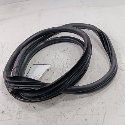 Ford Taurus On Body Door Jamb Seal Rear Left Back  2019 2018 2017 2016