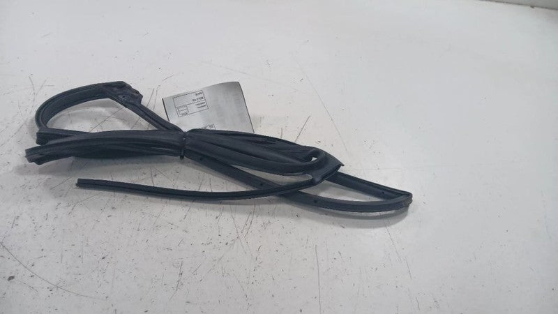 Honda Civic On Door Seal Rubber Left Rear Back  2016 2017 2018 2019 OE