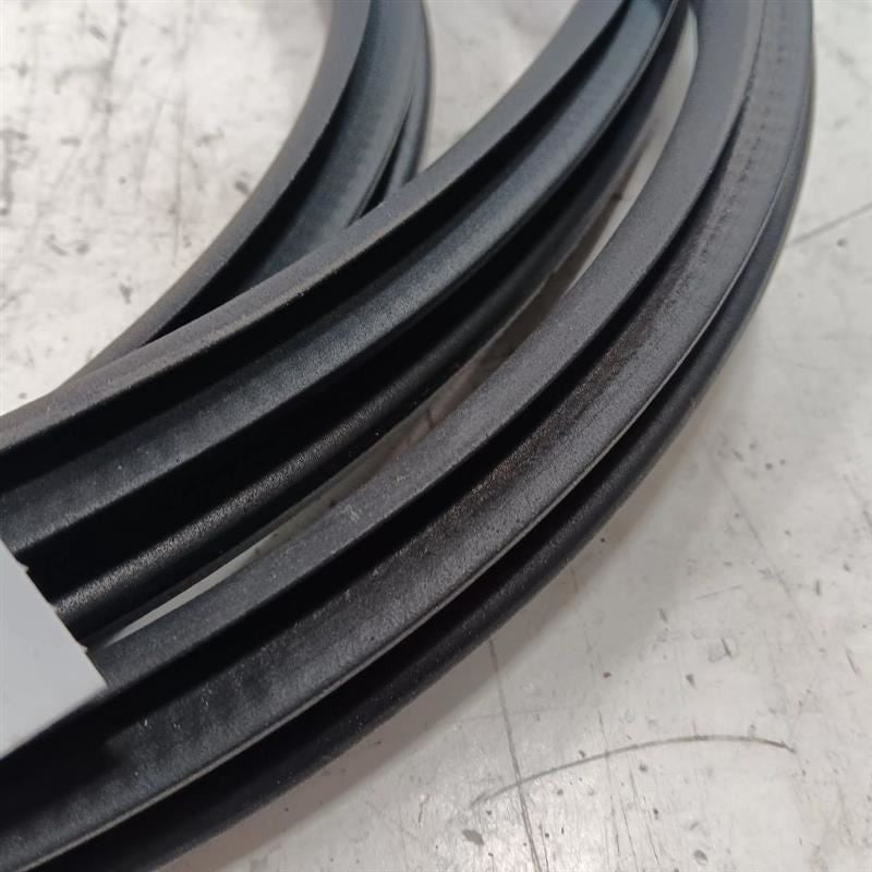 Nissan LEAF On Body Door Jamb Seal Rear Right Passenger Back  2013 2014 2015 201