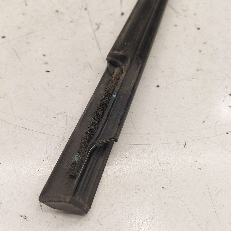 Chevy Volt Door Glass Window Weather Strip Trim Front Left Driver 2019