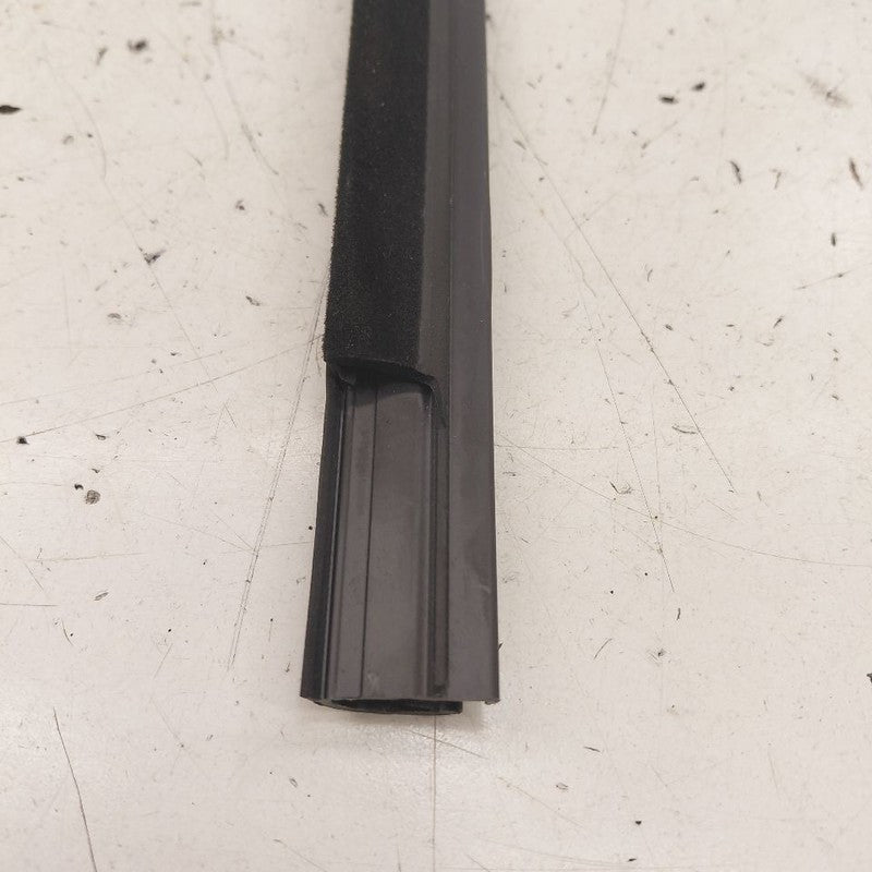 Honda HR-V Door Glass Window Weather Strip Trim Rear Left Driver Back 