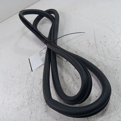 Jeep Compass On Body Door Jamb Seal Rear Left Back  2018 2019 2020 2021 2