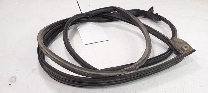 Toyota Camry On Door Seal Rubber Left Rear Back 2007 2008 2009 OEM