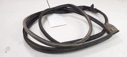Toyota Camry On Door Seal Rubber Left Rear Back 2007 2008 2009 OEM