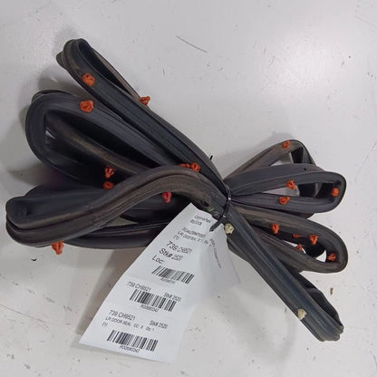 Jeep Compass On Door Seal Rubber Left Rear Back  2021 2020 2019 2018 2