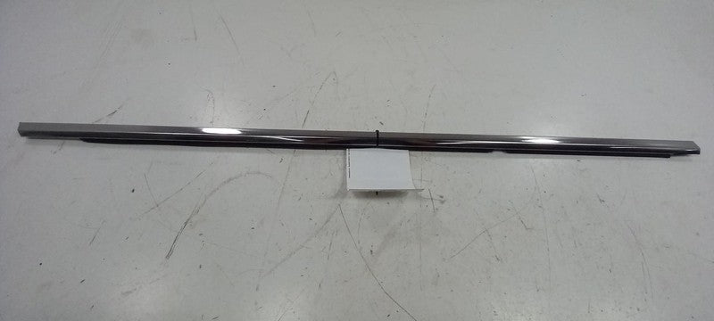 Buick LaCrosse Door Glass Window Weather Strip Trim Rear Right Passeng