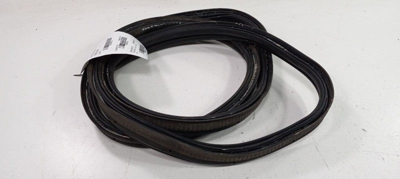 Ford Focus Trunk Lid Hatch Door Rear Back Rubber Seal 2018 2017 2016 2