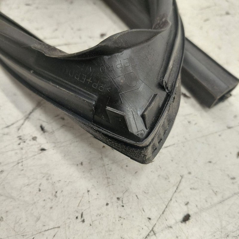 Nissan Murano Door Glass Window Seal Rubber Left Driver Rear Back 2020