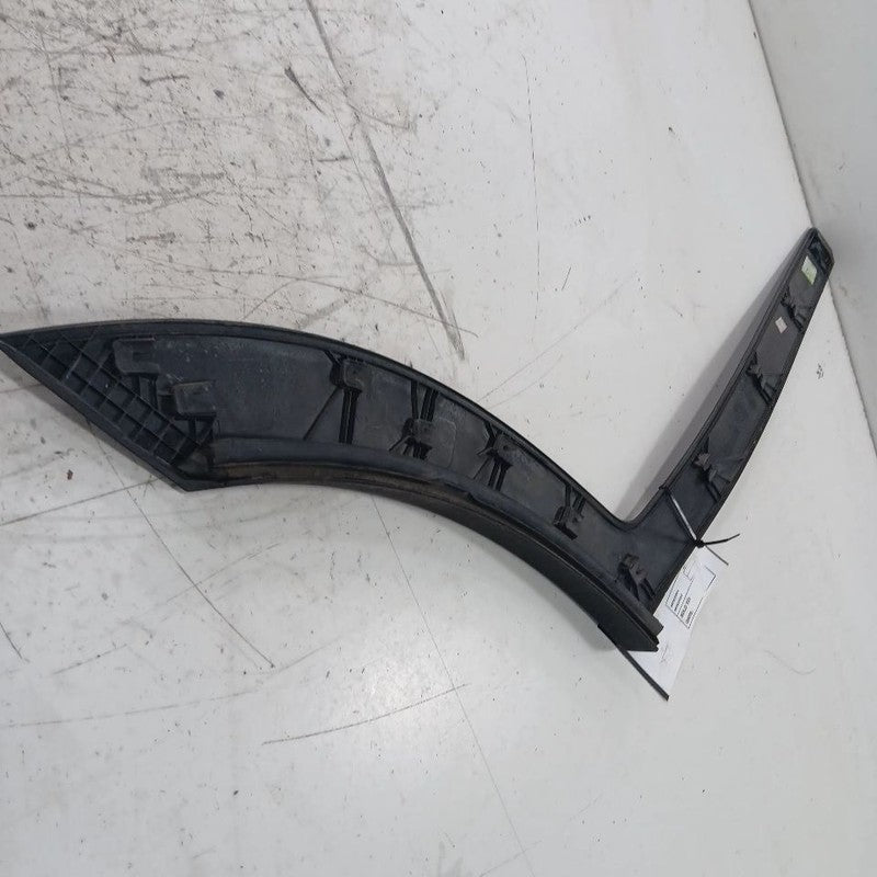 Hyundai Tucson Door Molding Trim Strip Left Side Rear Back  2019 2020 