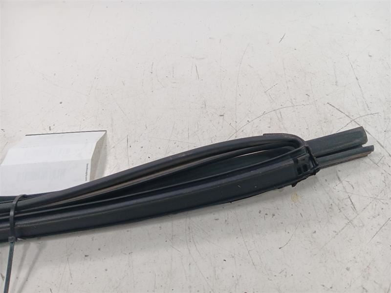 Infiniti Q50 Door Glass Window Seal Rubber Left Rear Back 2014 2015 20
