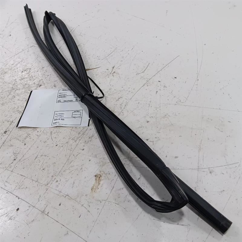 Toyota Rav 4 Door Glass Window Seal Rubber Left Rear Back  2015 2016 2017