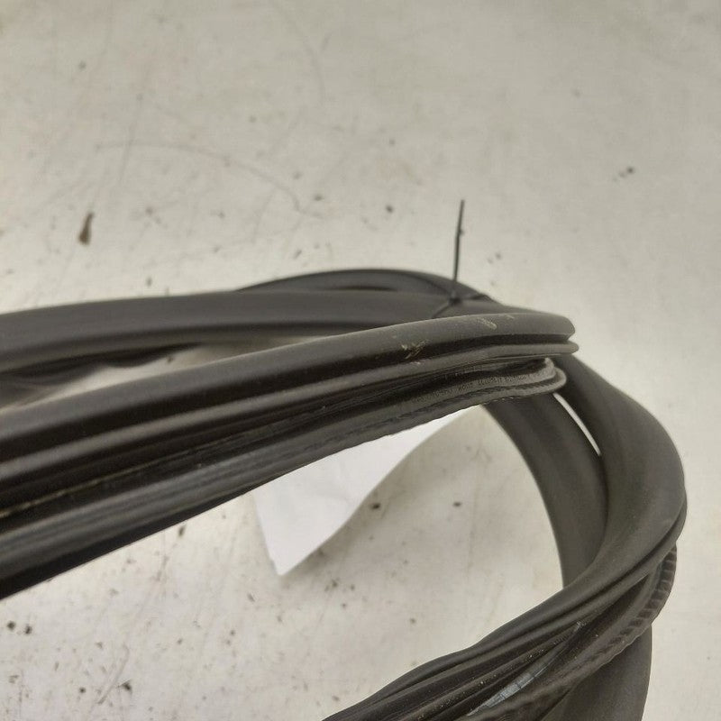 Chevy Equinox On Body Door Jamb Seal Rear Left Driver Back  2024 2023 