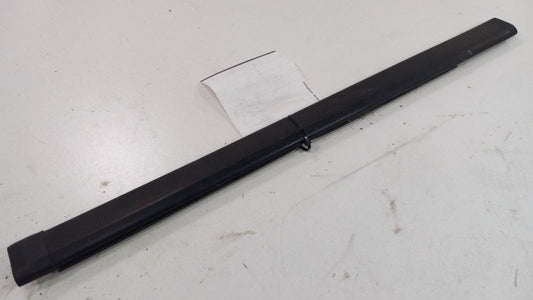 Chevy Trailblazer Door Glass Window Weather Strip Trim Rear Left Back