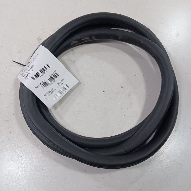 Chevy Malibu On Body Door Jamb Seal Rear Left Driver Back 2019 2020 2021 2022