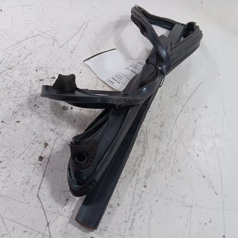 Ford Taurus Door Glass Window Seal Rubber Right Passenger Rear Back  2