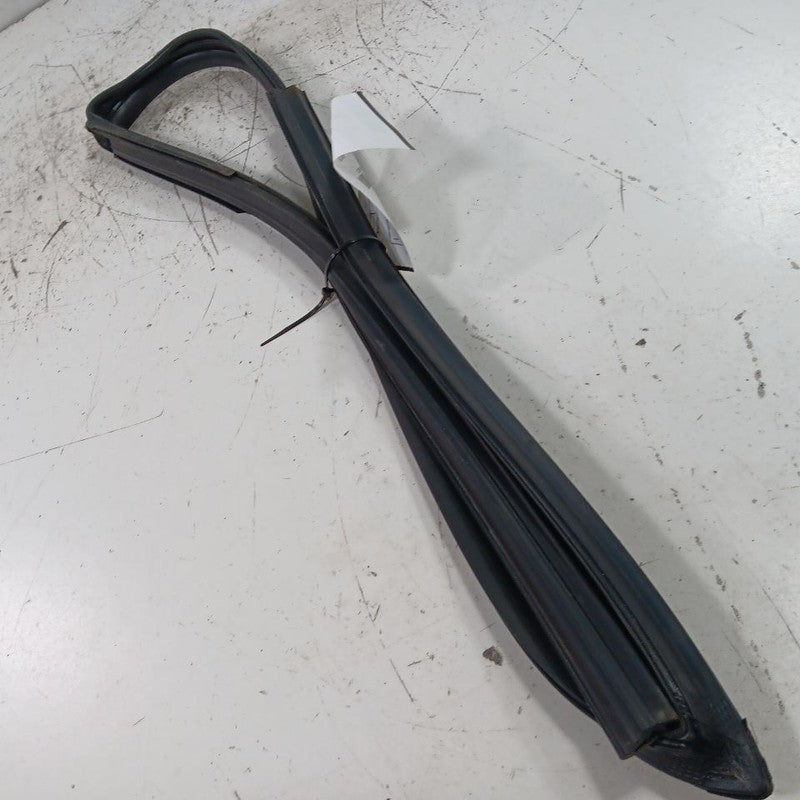 Kia Optima Door Glass Window Seal Rubber Left Driver Front  2018 2017 