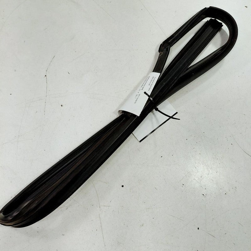 Hyundai Sonata Door Glass Window Seal Rubber Left Driver Rear Back  20