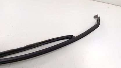 Chevrolet Equinox Door Glass Window Seal Rubber Left Driver Front 2018