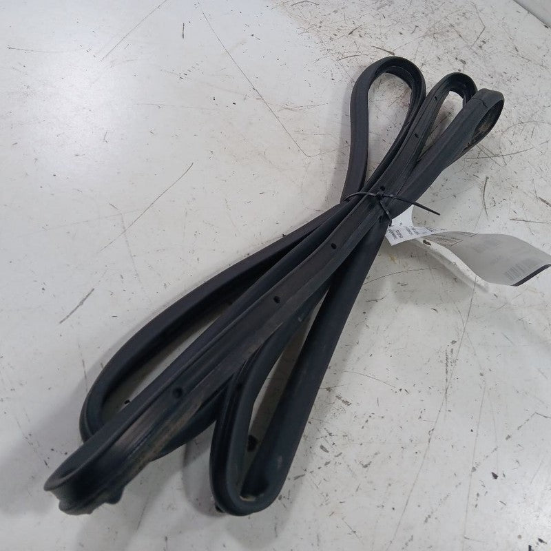 Ford Escape On Door Seal Rubber Right Passenger Front  2019 2018 2017 