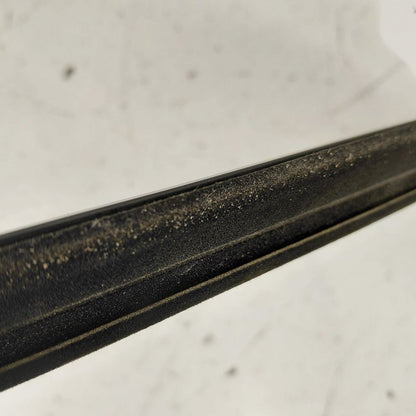 Buick Encore GX Door Glass Window Weather Strip Trim Rear Left Driver 