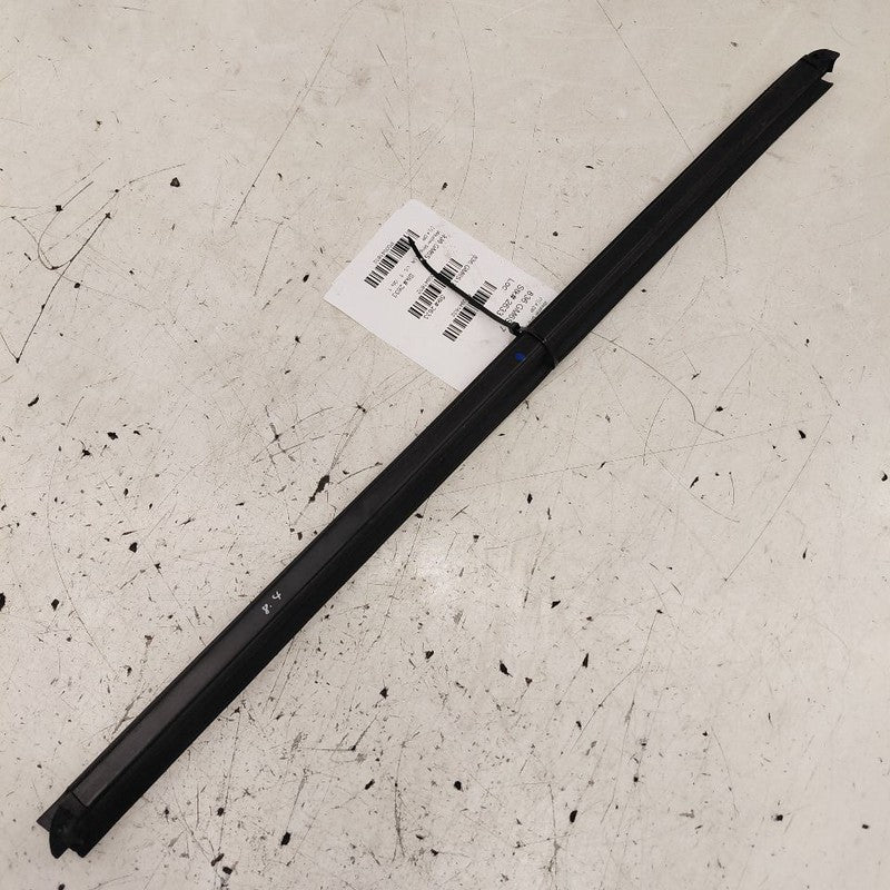 Cadillac CT6 Left Rear Weather Strip Interior  2018 2017 2016