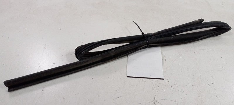 Kia Forte Door Glass Window Seal Rubber Right Passenger Rear Back 2010