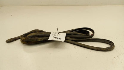 Nissan Sentra On Door Seal Rubber Left Rear Back 2007 2008 2009 2010 2011