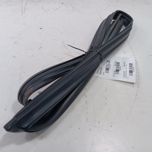 Kia Optima Door Glass Window Seal Rubber Left Driver Front  2020 2019 2018 2017